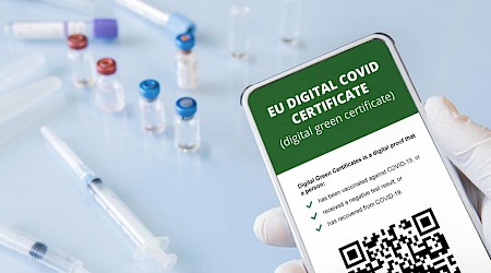 green certificate, vaccines, court, rights, violation
